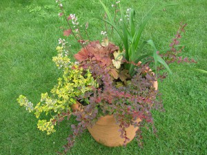 Для солнечных мест