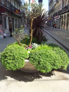 Вот такая емкость с растениями