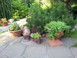 Можно использовать любые емкости