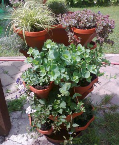 С другой стороны