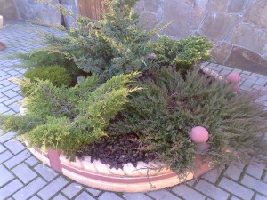 У наших покупателей