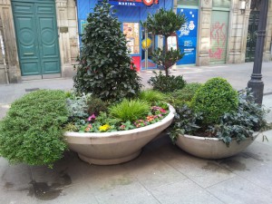 Уличная композиция