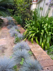 В ботаническом саду Бланеса