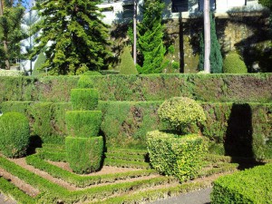 Ботанический сад на Мадейре