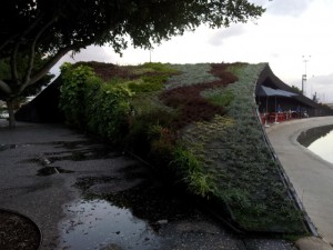 Вот такая крыша