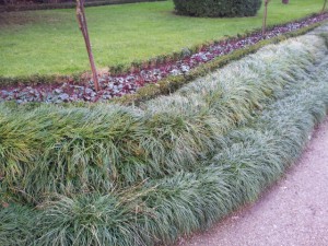 Вот такой чудесный бордюр