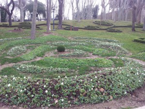 Зимой рисунок не так четко виден. Но он красив своей простотой