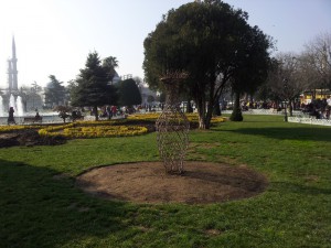 Живая ваза. Стамбул