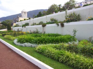 Кант из травы хорош летом и зимой