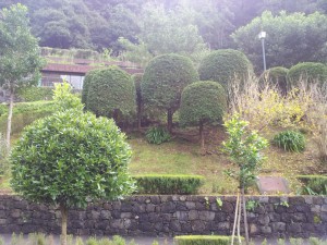 На склоне горы у подножья вулкана. Мадейра