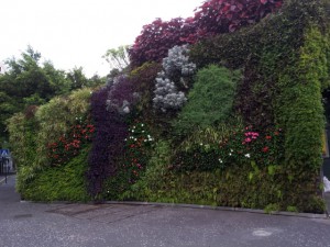 На центральной площади Санта-Крус-де-Тенерифе