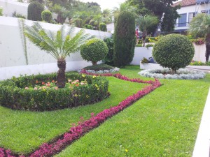 Рисунок на газоне