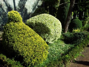 Стрижку задали сами растения