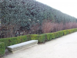 Тройная живая изгородь. Мадрид