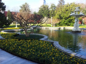 У дворца Долмабахче. Стамбул