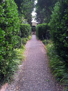 У замка Галы. Пуболь