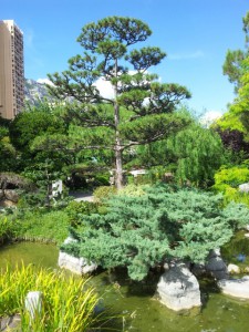 Японский сад в Монако