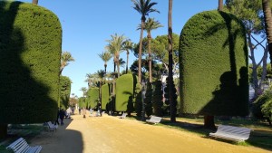 В ботаническом саду Кадиса.