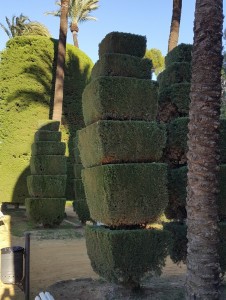 Одна из стриженных фигур.