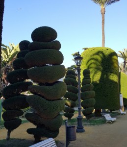 Здесь постригли кипарисовики. У нас это мугут быть можжевельник и туя.