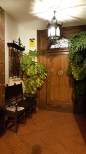 Мы тоже можем поучиться, правда?