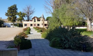 Интересное решение дорожки.