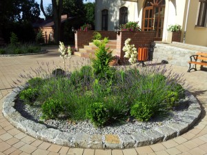 Простая, но очень эффектная клумба. Модлин