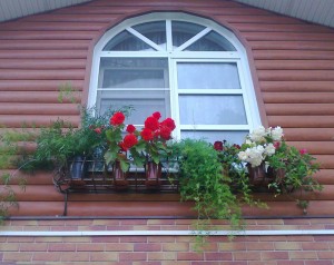 Северное окно.