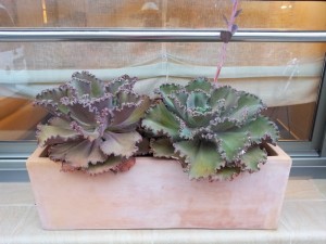 Ничего лишнего.