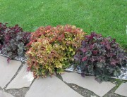 Идеальный бордюр.