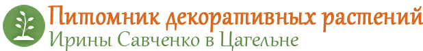 Питомник декоративных растений Ирины Савченко