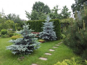 Шаговая дорожка Шаговая дорожка